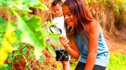 Jardin : "On piétine nos terrains privés" 28 millions de courriers envoyés dès juillet pour forcer la biodiversité